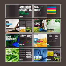 平面設(shè)計(jì) 從靈感到作品的視覺藝術(shù)之旅